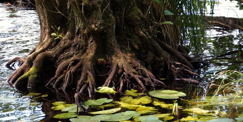 BLOG LEIDING 2018-03