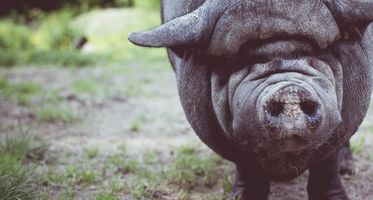 07-2018 BLOG JONGEREN