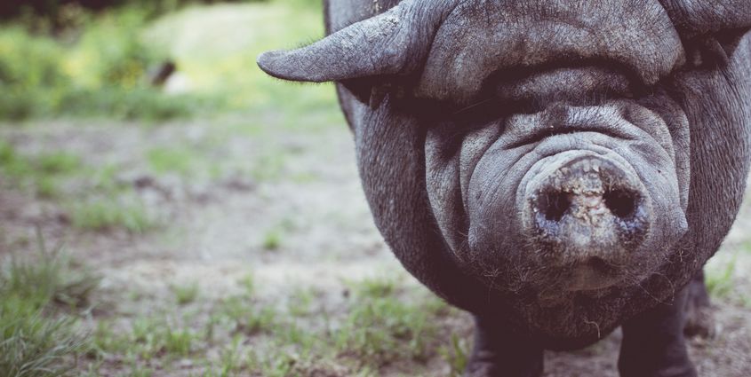 07-2018 BLOG JONGEREN