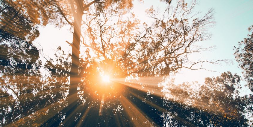 2018-08 BLOG LEIDING