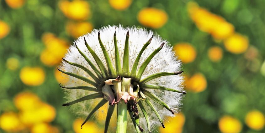 2018-09 BLOG LEIDING