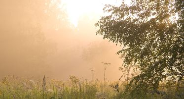 BLOG JONGEREN 2018-11