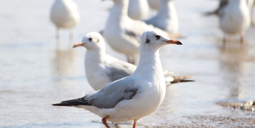 2018-14 BLOG LEIDING