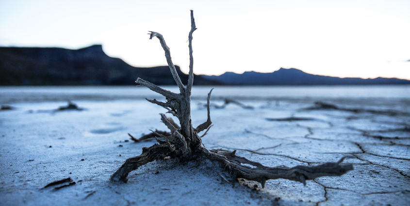 patrick-hendry-258316-unsplash