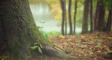 algemeen website.PNG