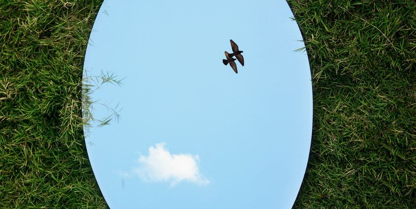 BLOG LEIDINGGEVENDEN