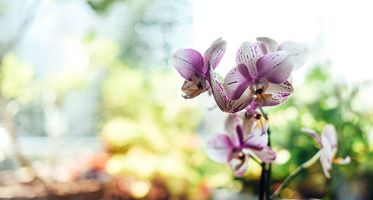 BLOG LEIDINGGEVENDEN