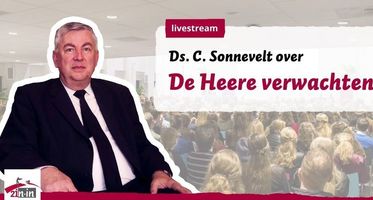 ds_sonnevelt (1).jpeg