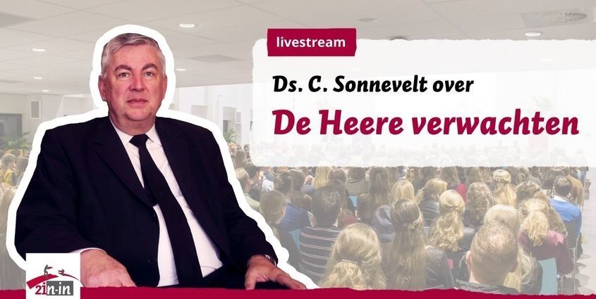 ds_sonnevelt (1).jpeg