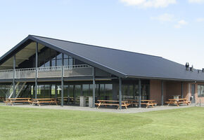 Boerenzwaluw Ter Aar.jpg