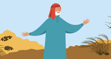 Header infopage bonsdagen 12+