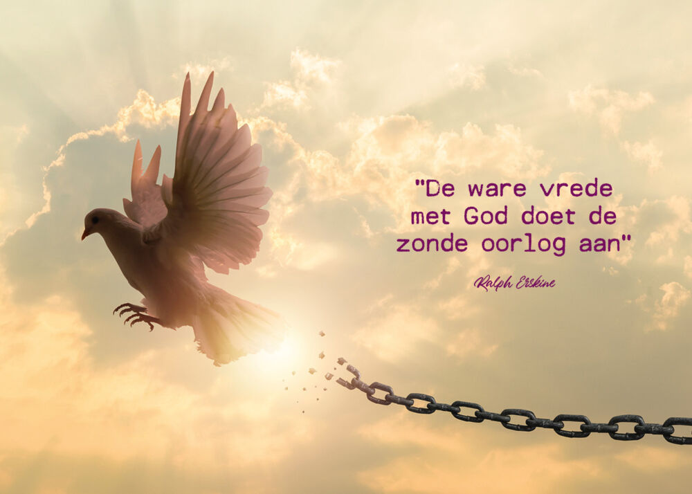 Daniël 2024-09 beeld.jpg