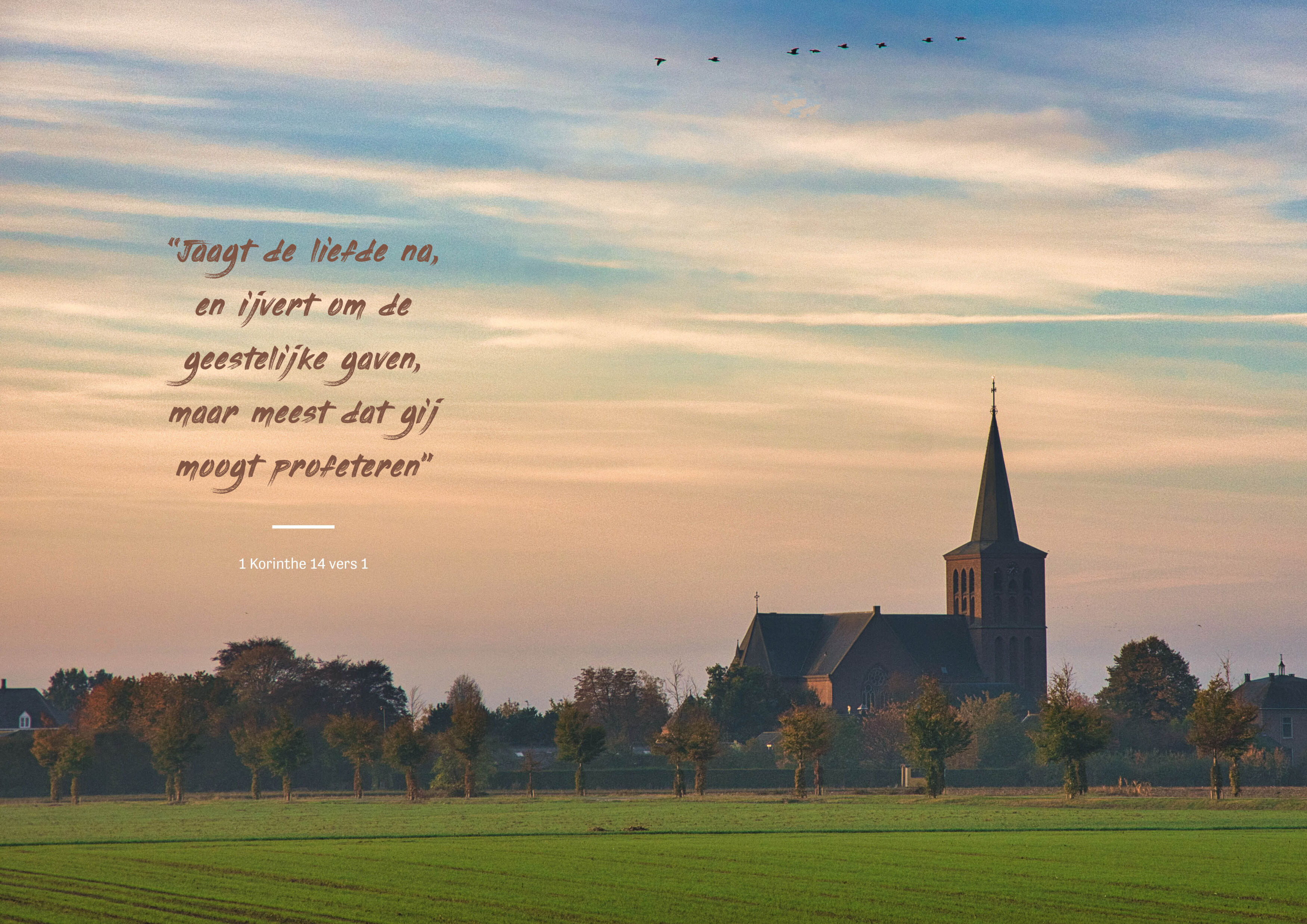 Daniël 2024-10_beeld.jpg