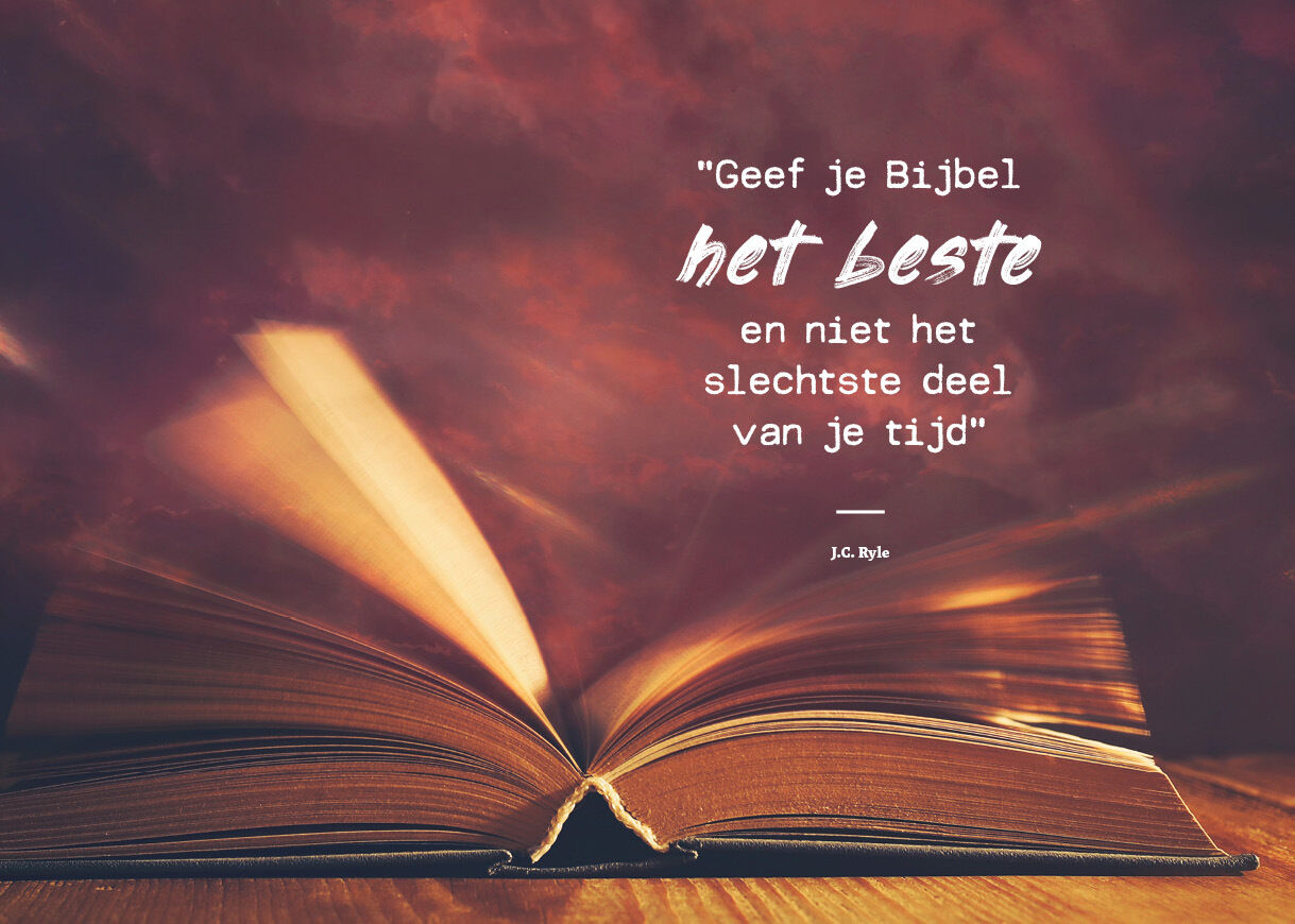 Daniël 2024-12 beeld.jpg