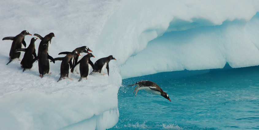 shutterstock_91017617