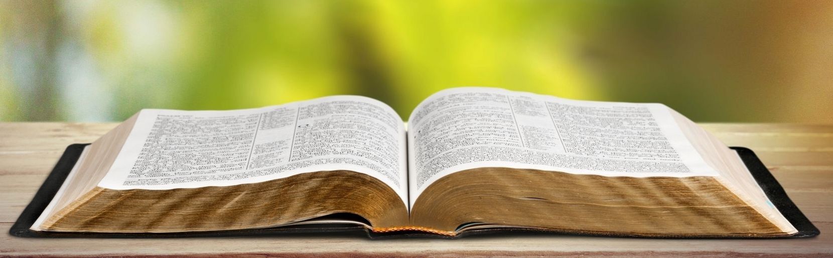 filippus_visual_2016