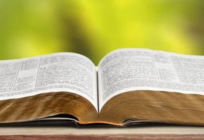 filippus_visual_2016