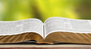 filippus_visual_2016