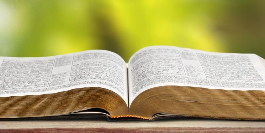 filippus_visual_2016