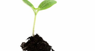 stockxpertcom_id187536_size2-771109