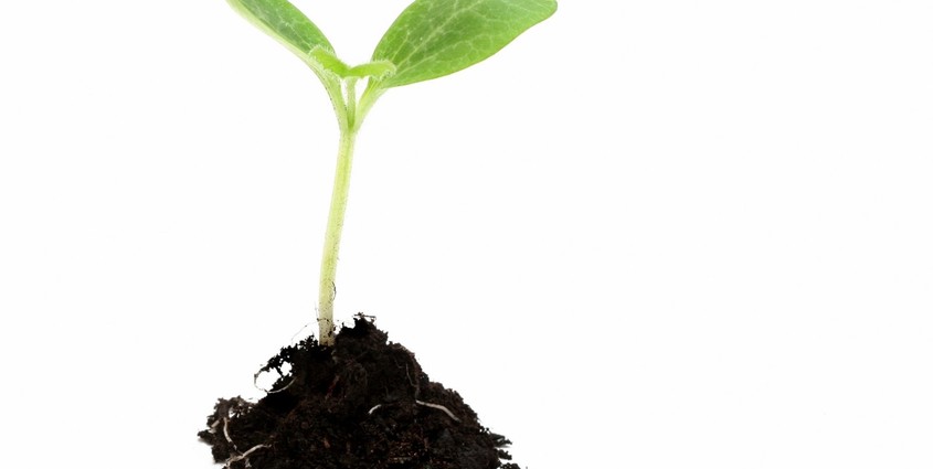 stockxpertcom_id187536_size2-771109